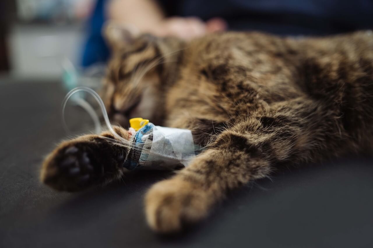 emergency