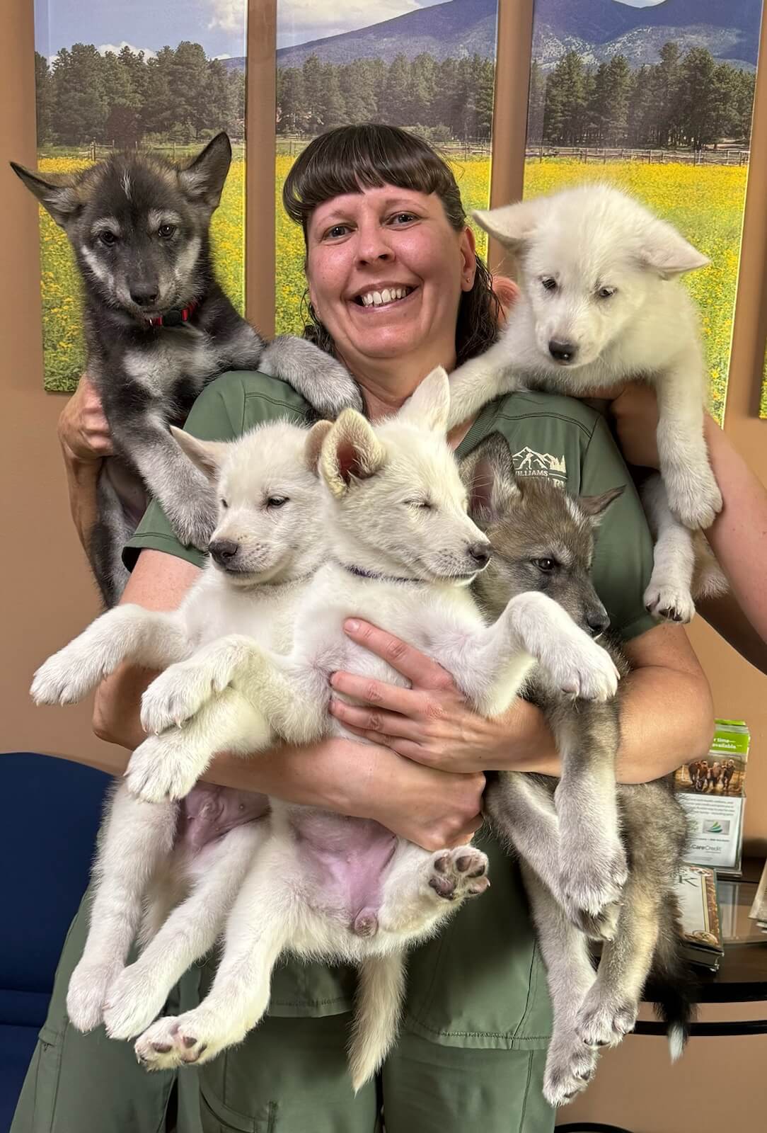 De Anne with wolf puppies