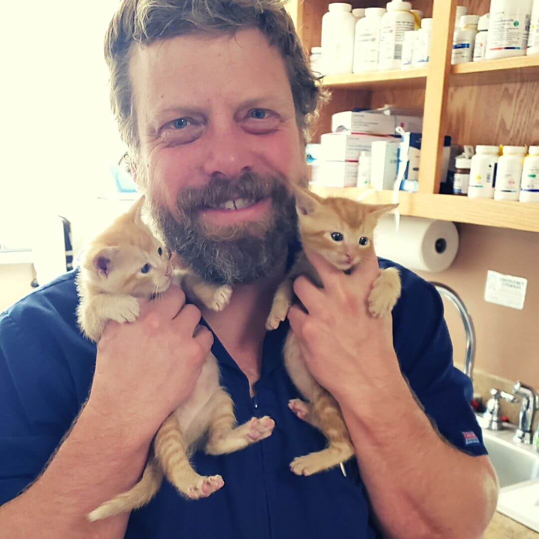 Dr. Ryan with kittens